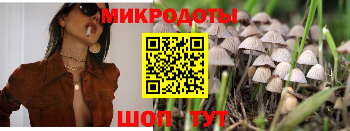 Галлюциногенные грибы Magic Shrooms Ярославль