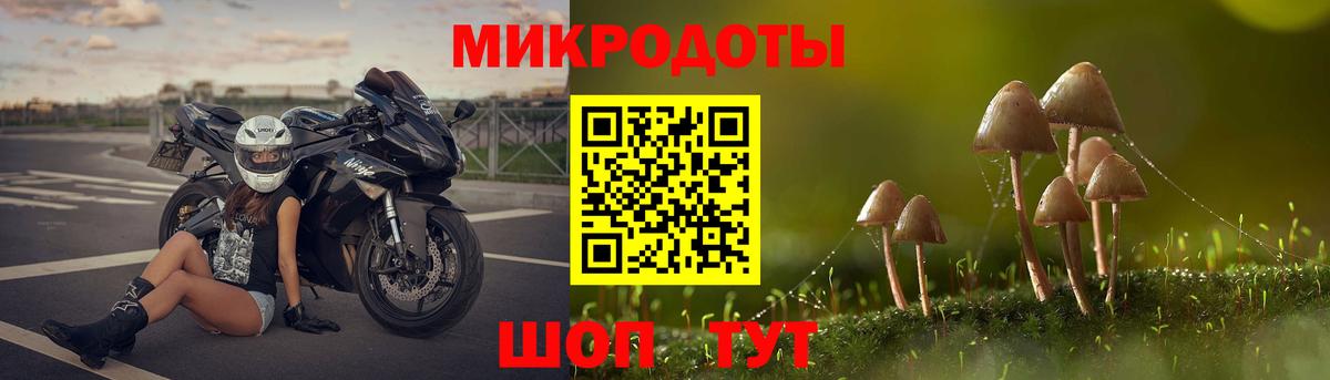Ярославль  Галлюциногенные грибы Cubensis  Вход с VPN 